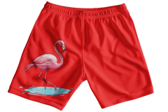 Flamingo Girls Shorts