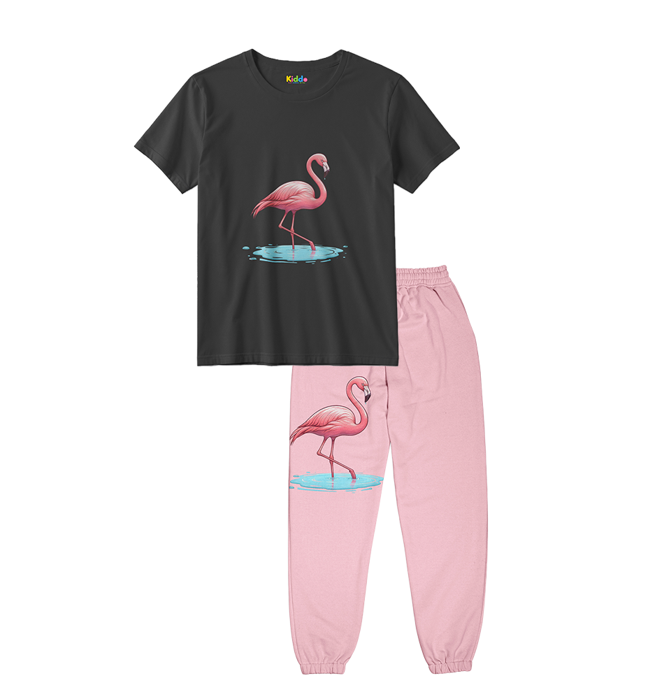 Girls Flamingo T-Shirt & Jogger Set